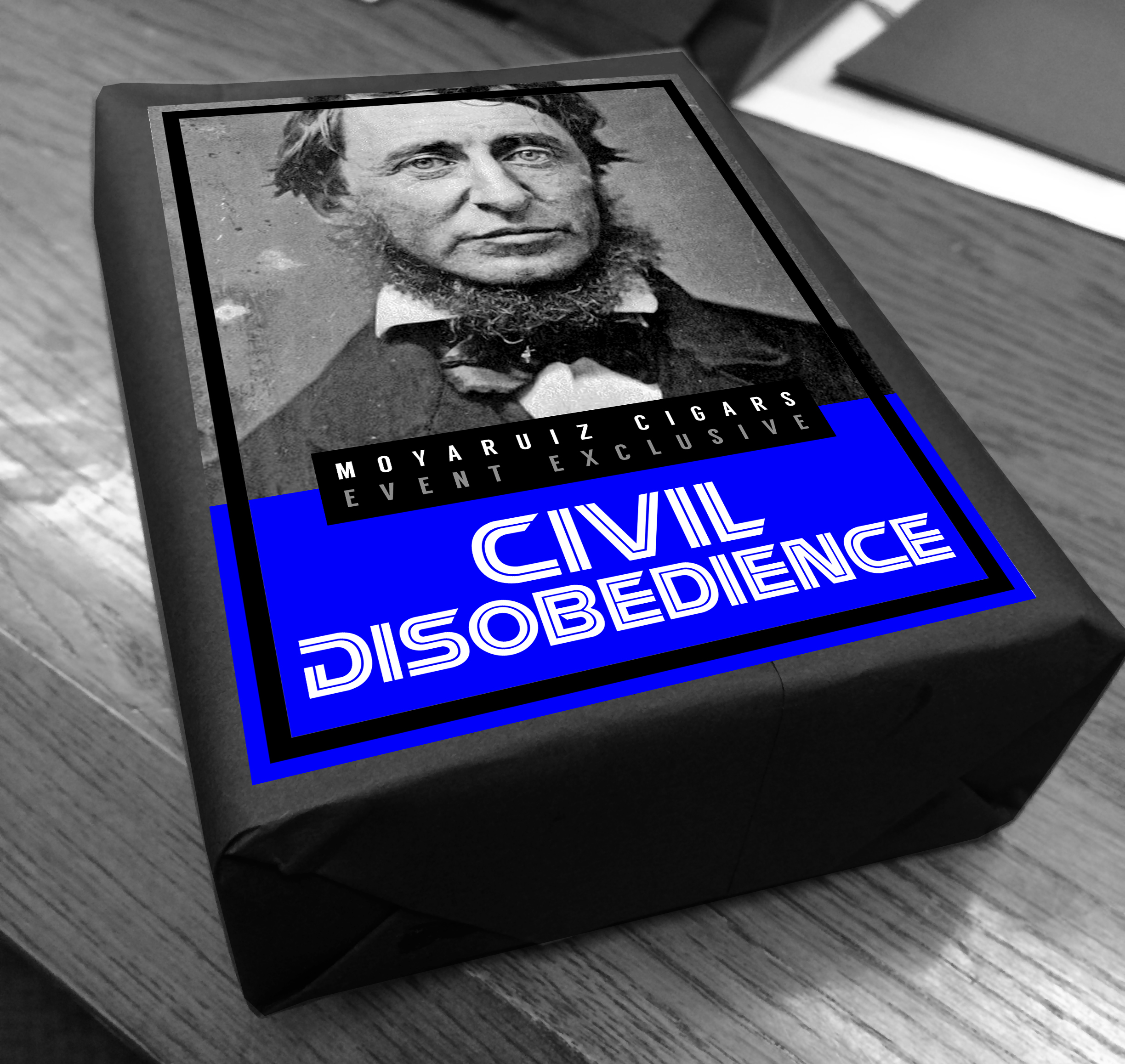 Essay on civil disobedience summary
