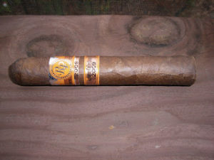 Cigar Review: Rocky Patel Autumn Collection 2009