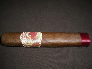 Cigar Review: Flor de las Antillas Toro Grande (Retail Exclusive to Binny’s Beverage Depot)