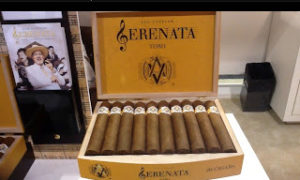 Cigar Preview: Avo Serenata