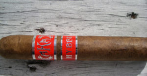 Cigar Review: AKA Hybrid