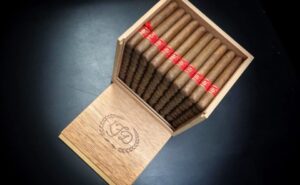 la-flor-dominicana-el-carajon