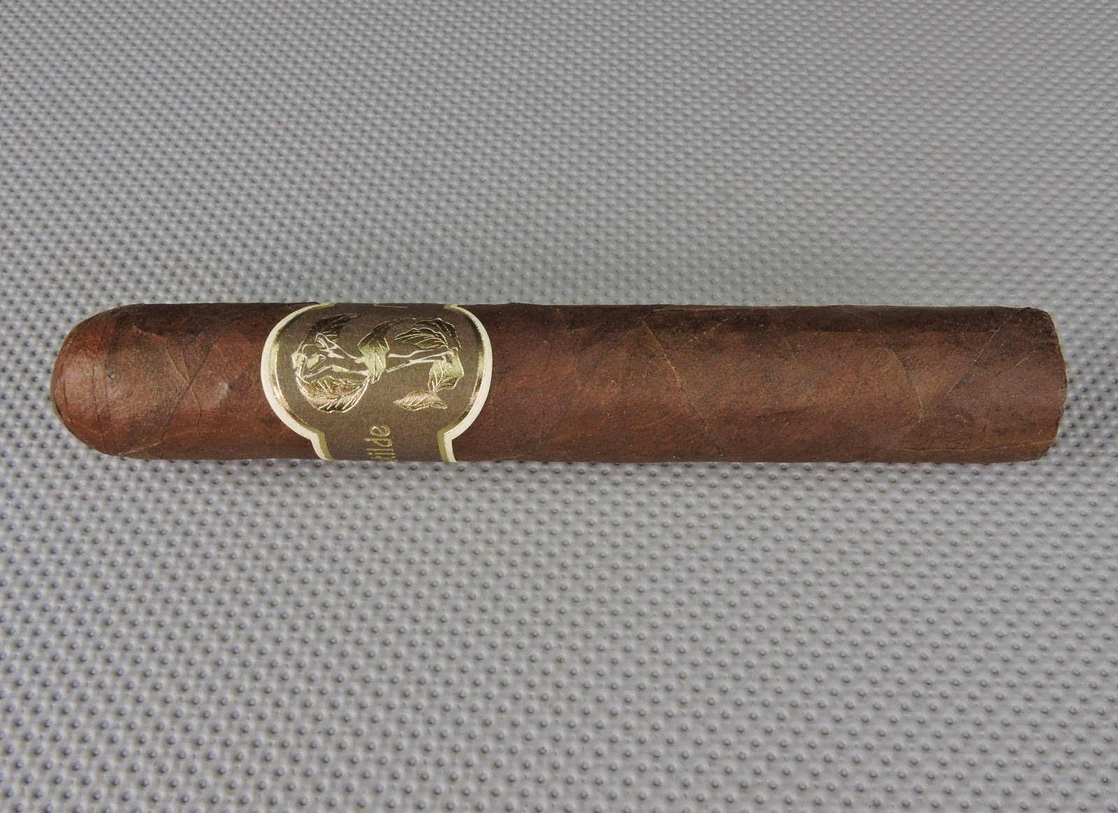 Robusto Cigar Definition