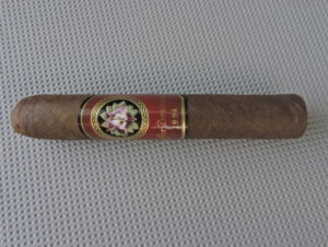 Agile Cigar Review: La Flor Dominicana 1994 Tango