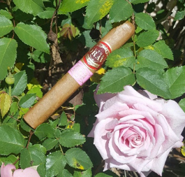 Cigar News: Southern Draw Cigars Announces Availability of Rose of Sharon