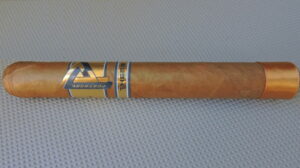 Protocol Themis Toro by Cubariqueño Cigar Company