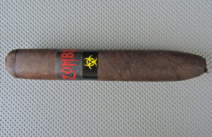 Viaje Zombie Biohazard Red