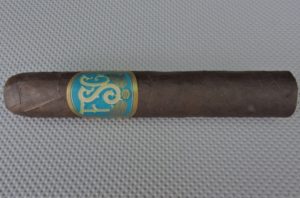 Agile Cigar Review: FSG Robusto by Drew Estate