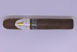 Cigar Review: Davidoff Winston Churchill Limited Edition 2019 Robusto