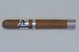 Agile Cigar Review: Protocol Official Misconduct Corona Gorda by Cubariqueño Cigar Company