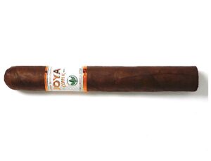 Cigar Review: Joya Copper Toro by Joya de Nicaragua