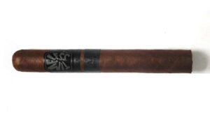 Cigar Review: Timeless TAA 2020 (Nat Sherman)