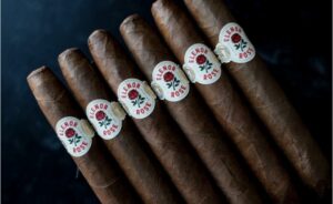 Cigar News: Serino Cigar Company Launches Studio Serino with Elenor Rose