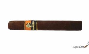 Cigar Review: Olmec Claro Toro by Foundation Cigar Company