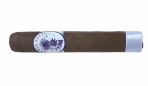 Cigar Review: Maria Lucia Magnum Box Pressed by Luciano Cigars