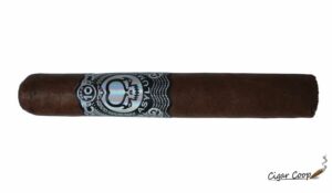 Cigar Review: Asylum Ten 70 x 7