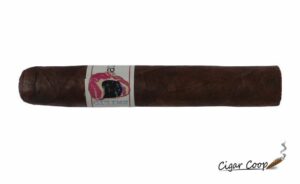 Cigar Review: Emilio Audiophile Robusto 2023