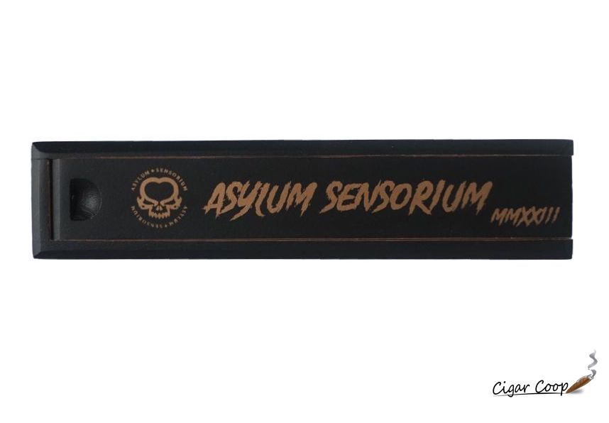 Asylum Sensorium Asen 60 Coffin