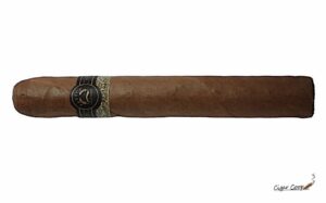 Padrón PC-11 (Toro)| Cigar Review