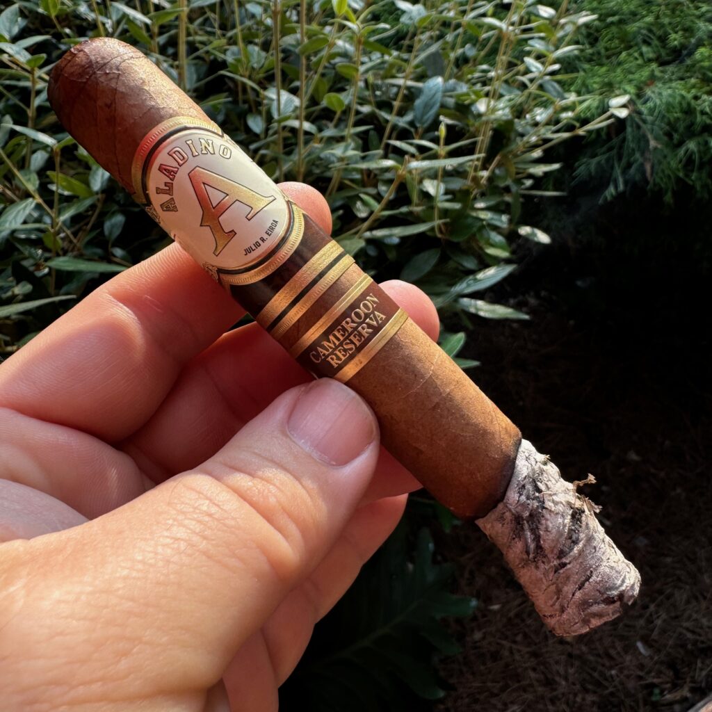 JRE Aladino Cameroon Reserva