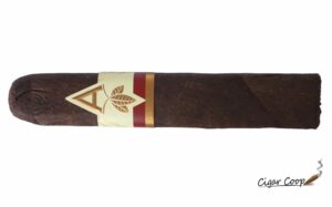 Artista Falu Robusto | Cigar Review