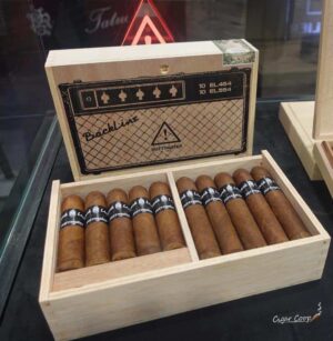 Surrogates_BackLine-2 Surrogates_BackLine-2