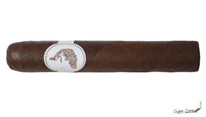 MBombay_MQBA_Mayura_Robusto